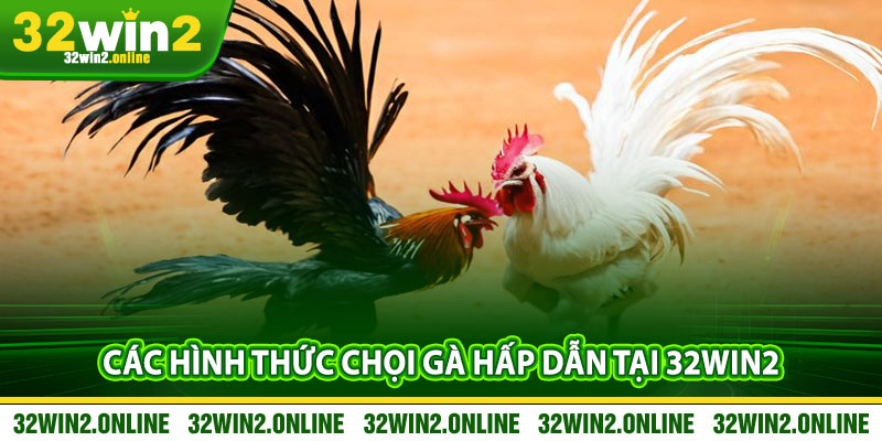 Các Hình Thức Chọi Gà Hấp Dẫn Tại 32win2