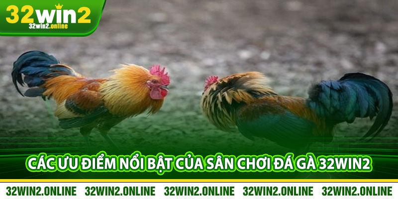 Các Ưu Điểm Nổi Bật Của Sân Chơi Đá Gà 32win2