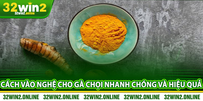 Cách Vào Nghệ Cho Gà Chọi Nhanh Chóng và Hiệu Quả
