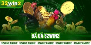 Da ga 32win2
