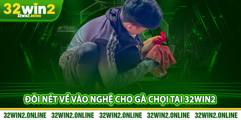 Đôi Nét Về Vào Nghệ Cho Gà Chọi Tại 32win2