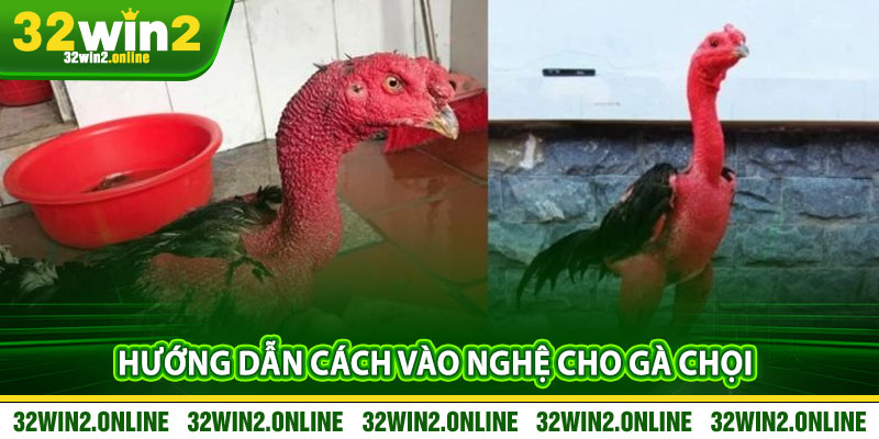 Huong Dan Cach Vao Nghe Cho Ga Choi Tai 32win2