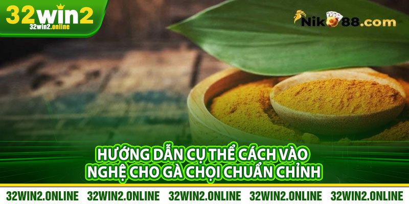 Hướng Dẫn Cụ Thể Cách Vào Nghệ Cho Gà Chọi Chuẩn Chỉnh