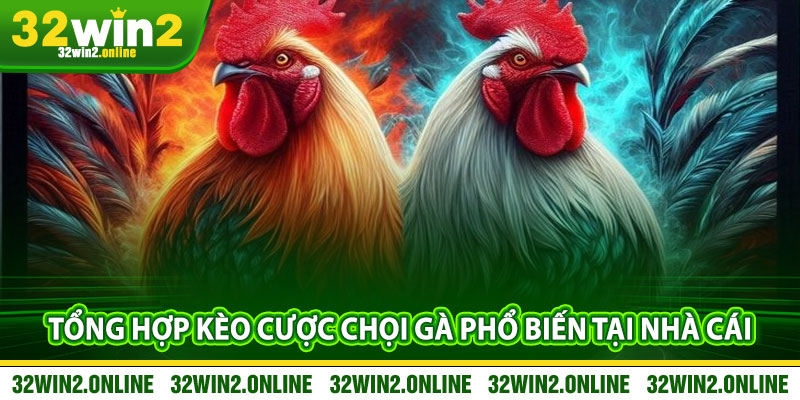 Tổng Hợp Kèo Cược Chọi Gà Phổ Biến Tại Nhà Cái